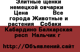 Элитные щенки немецкой овчарки › Цена ­ 30 000 - Все города Животные и растения » Собаки   . Кабардино-Балкарская респ.,Нальчик г.